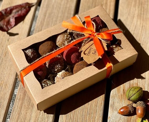fall holidays chocolate gift box vegan